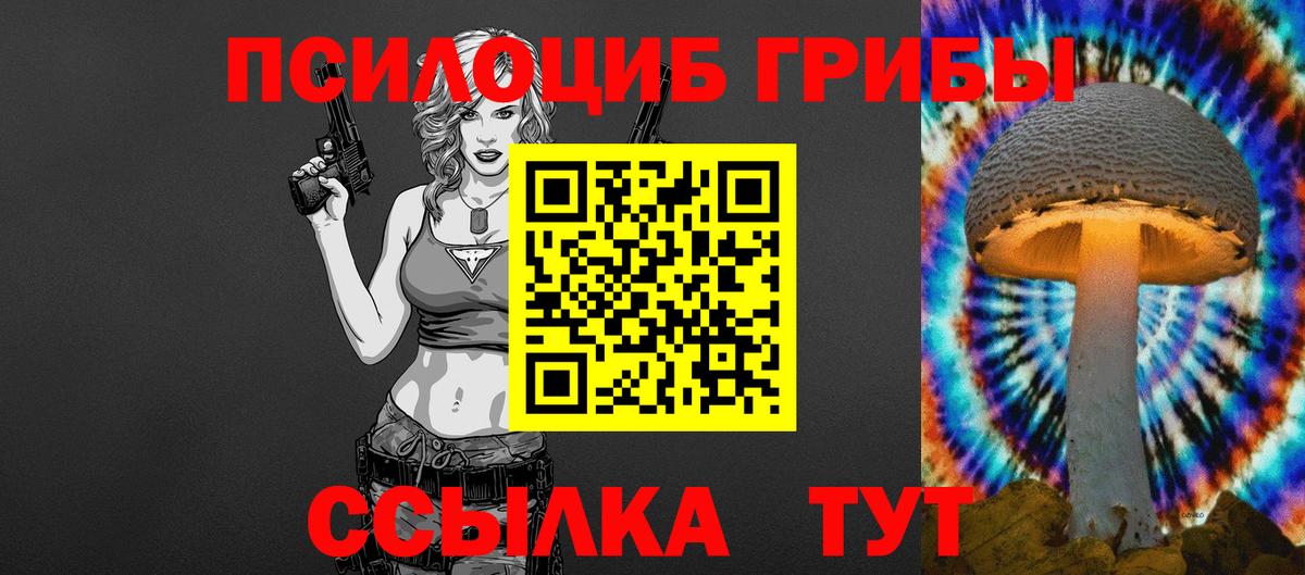 Псилоцибиновые грибы Psilocybine cubensis  Вход с VPN  Орёл 